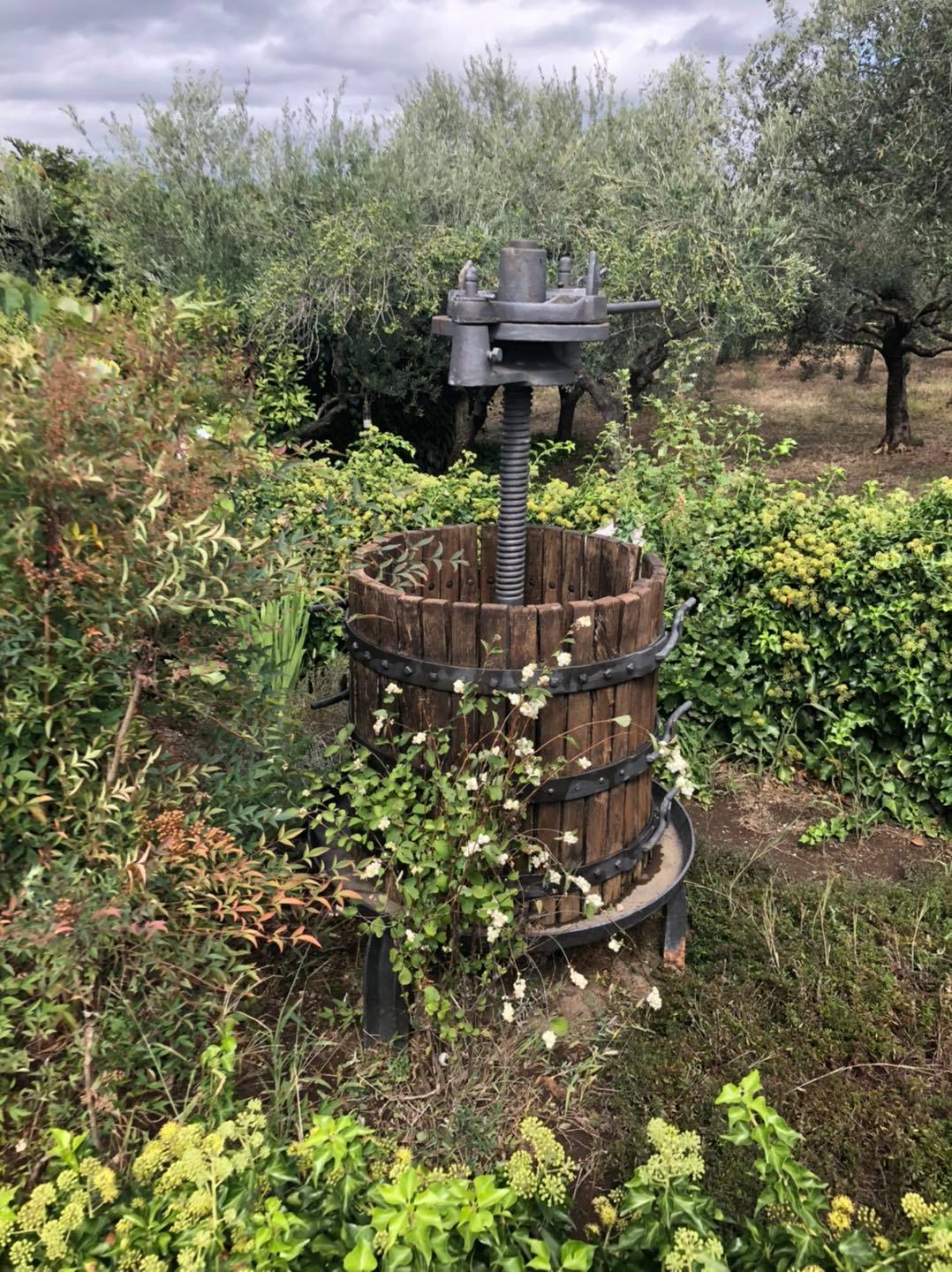 orto fattoria Maria Petrillo